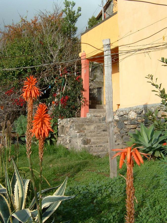 Madeira-Meerblick-Haus Estreito Da Calheta Екстер'єр фото