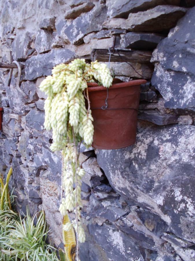 Madeira-Meerblick-Haus Estreito Da Calheta Екстер'єр фото